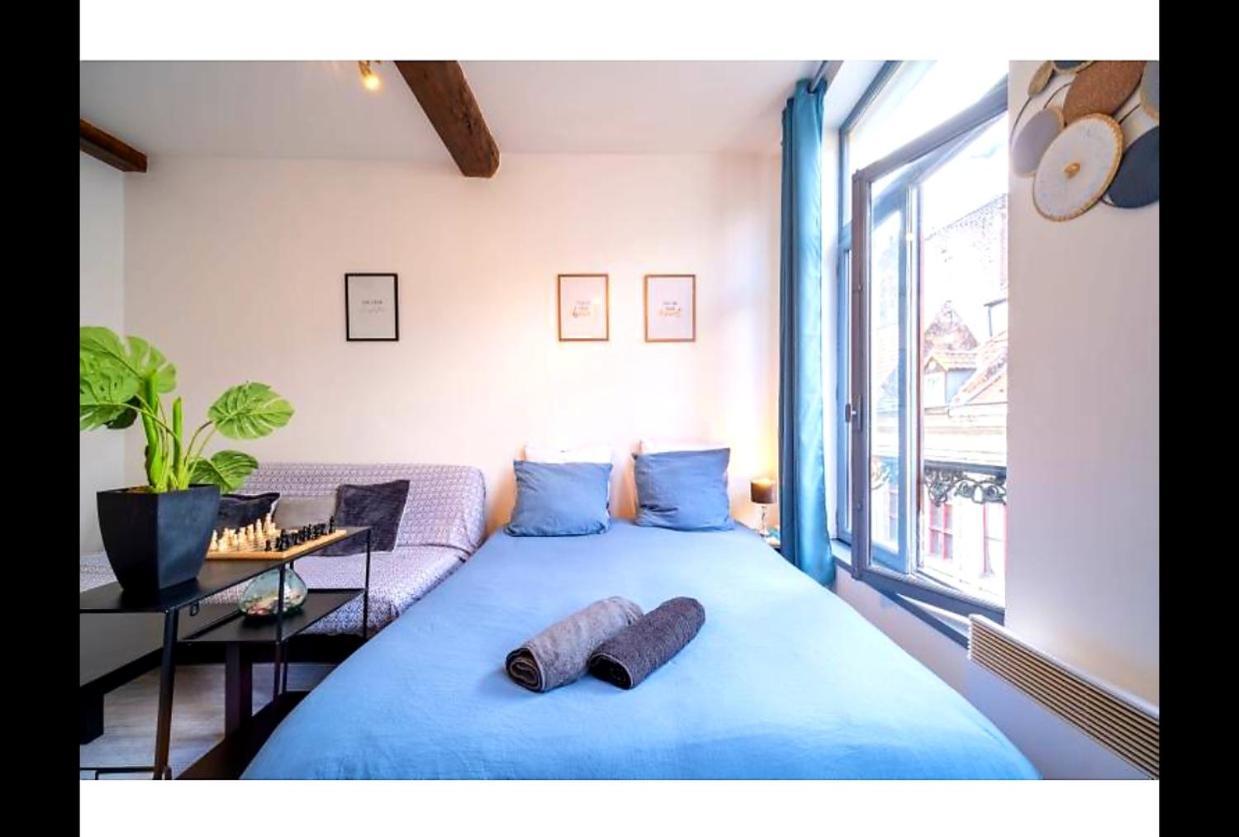 La Belle Niche Apartment Lille Ngoại thất bức ảnh